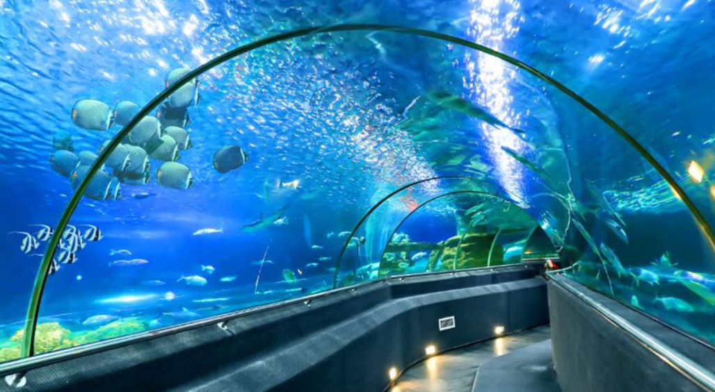 aquarium de almeria b2bviajes