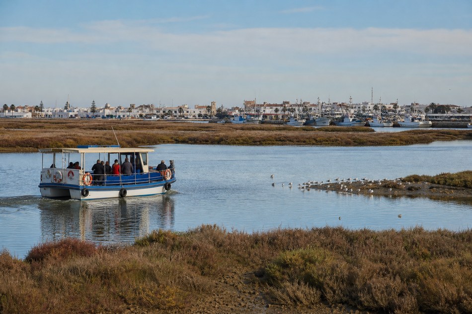 Paseo en barco por las marismas de Isla Cristina para viajeros singles