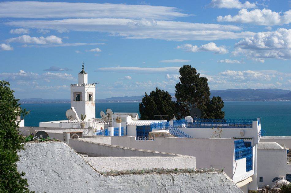 Excursión desde Hammamet a Sidi Bou Said y Cartago Casas blancas y azules frente al Mediterráneo en Sidi Bou Said, excursión desde Hammamet