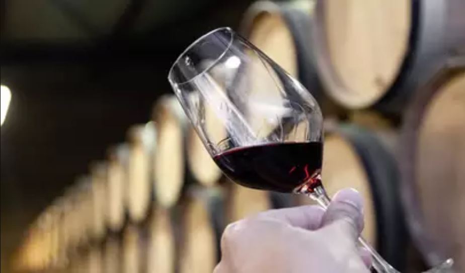 Visita a bodega Madrid Romero en Murcia